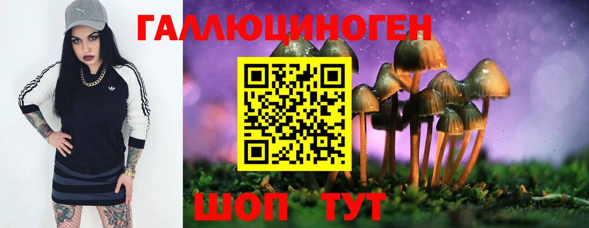 Псилоцибиновые грибы мухоморы Кингисепп