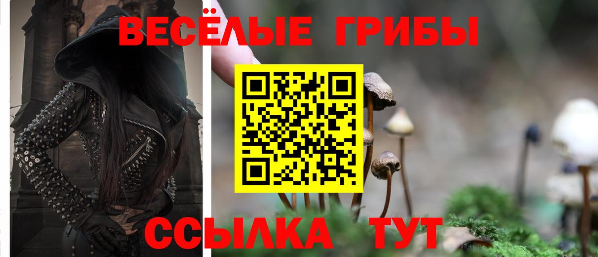 Кингисепп  Псилоцибиновые грибы мицелий  Вход с VPN 