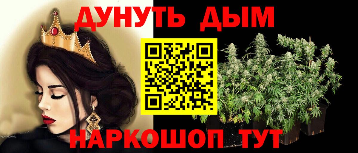Шишки марихуана марихуана Кингисепп